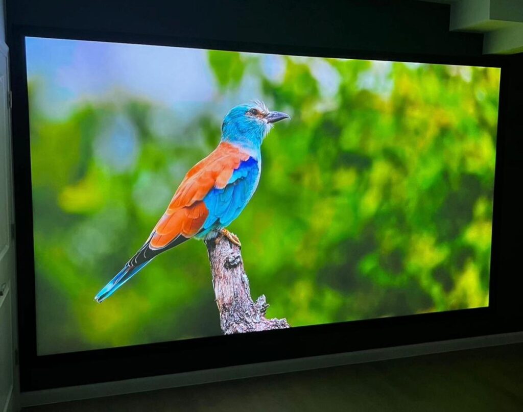 WhatsApp Image 2026-01-30 at 9.31.33 PM (3)