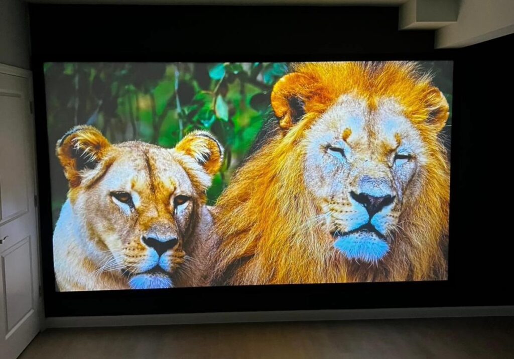 WhatsApp Image 2026-01-30 at 9.31.33 PM (4)